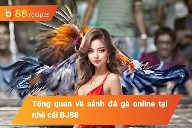 Giới thiệu về sảnh đá gà online tại nhà cái BJ88