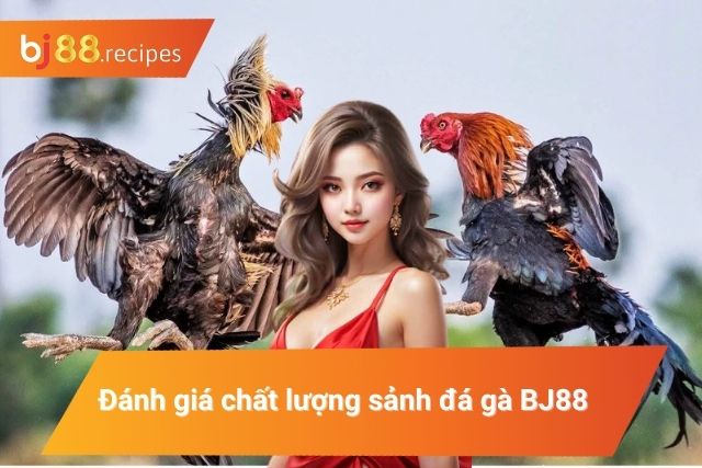 Đánh giá ưu điểm của sân chơi đá gà top 1