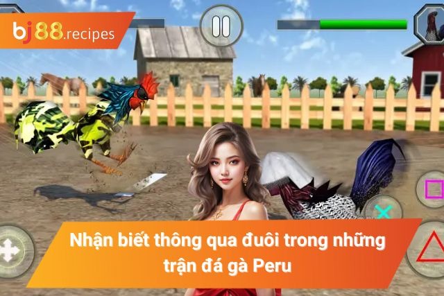 Nhận dạng chiến kê thông qua phần đuôi