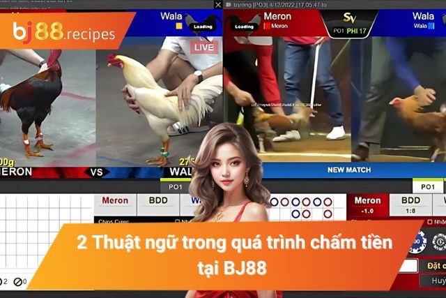 Các thuật ngữ khi tham gia chấm tiền